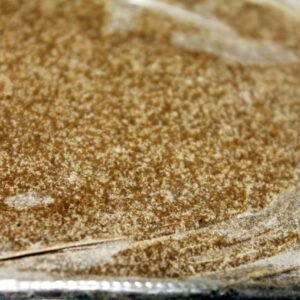 Buy Zkittlez Hash 73u-139u Near Me