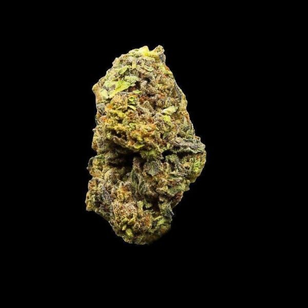 Coconut Cream Pie Strain 1lb Online Coconut Cream Pie Strain 1lb Online
