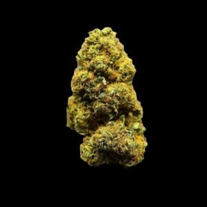 Bubblegum Biscotti Strain 1lb Near Me