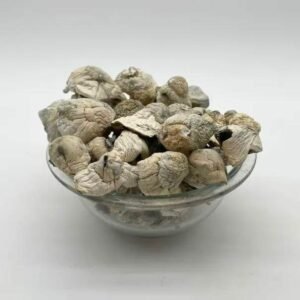 Albino Penis Envy Mushroom Near Me