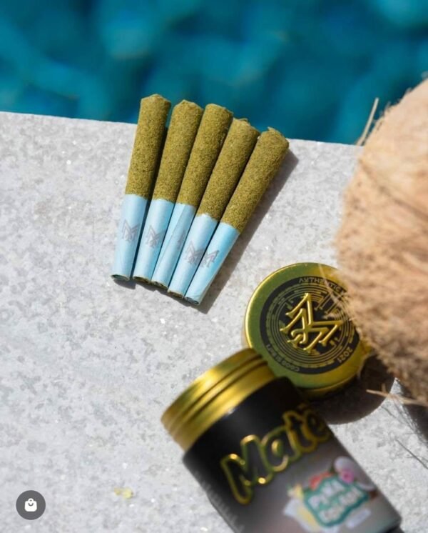Buy Muha Meds Mates Prerolls Near Me Buy Muha Meds Mates Prerolls Near Me