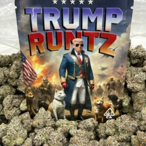Purchase Trump Runtz Weed Online