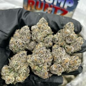 Purchase Trump Runtz Weed Online