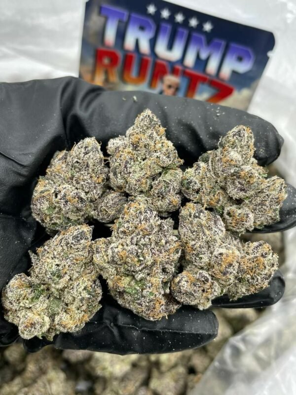 Purchase Trump Runtz Weed Online