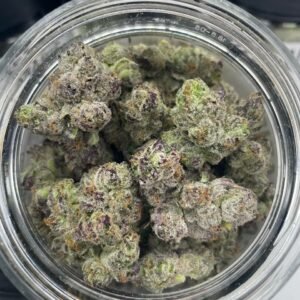Curated Indoor Cannabis for Sale