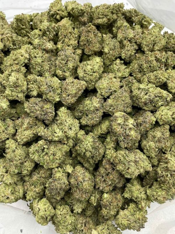 Blackberry Kush Mint Weed for Sale Blackberry Kush Mint Weed for Sale