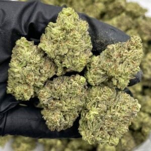 Blackberry Kush Mint Weed for Sale