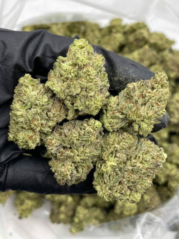 Blackberry Kush Mint Weed for Sale