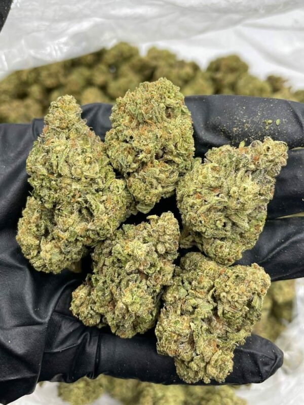 Buy Cookie Gas Lows Indoor Weed Now