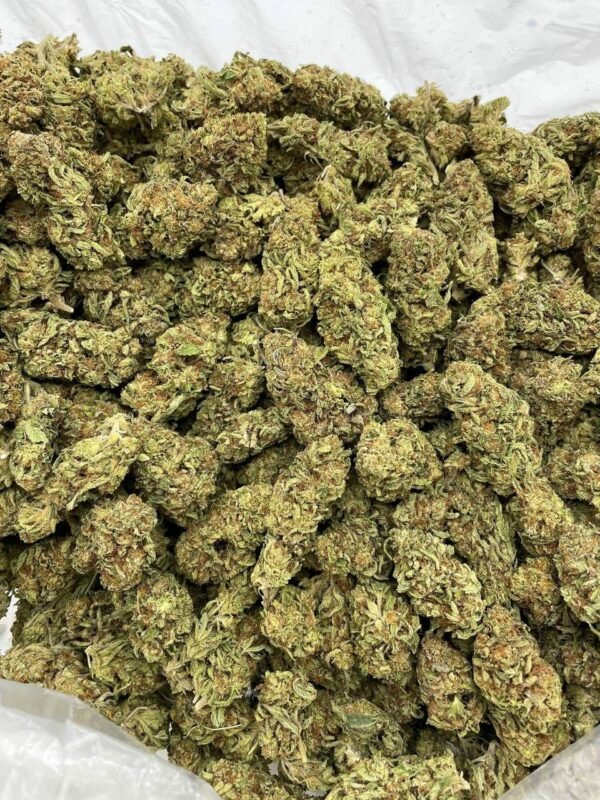 Order Zookie Lows Indoor Weed Near Me Order Zookie Lows Indoor Weed Near Me