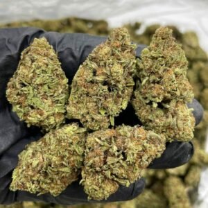 Order Zookie Lows Indoor Weed Near Me