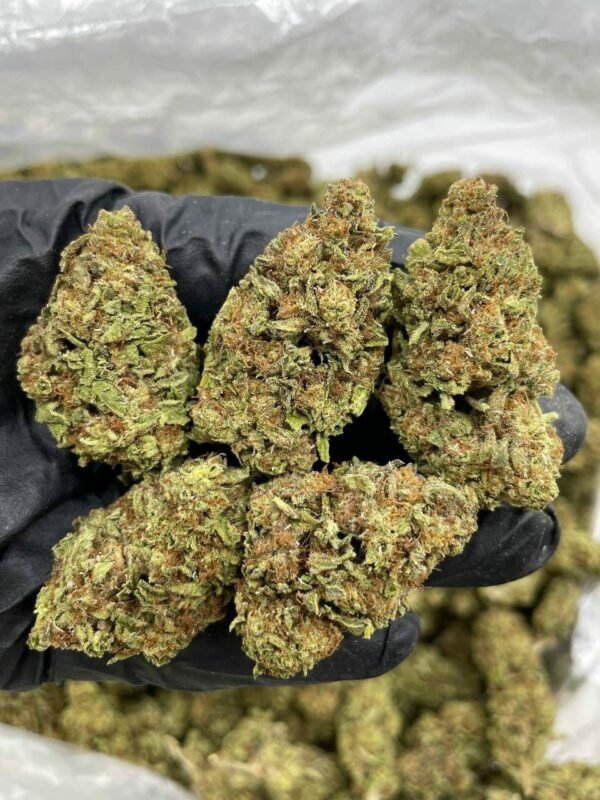 Order Zookie Lows Indoor Weed Near Me