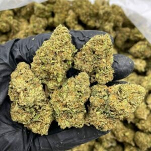 Buy Banana Punch Lows Indoor Weed Now