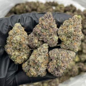 Cherry Smarties Indoor Weed Near Me