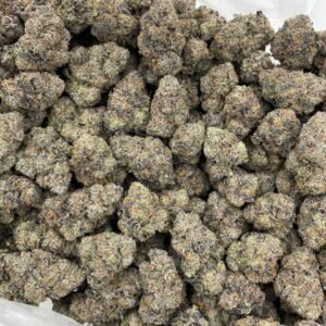 Rainbow Stomper Indoor Weed Online