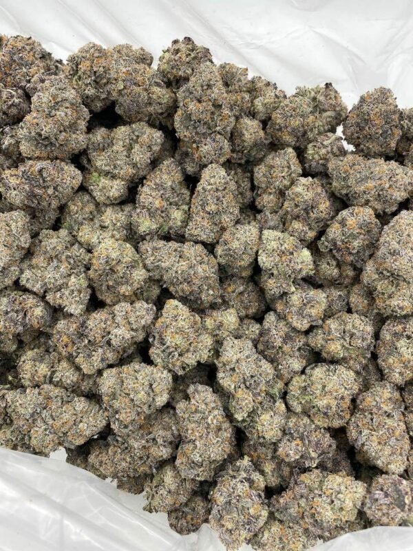 Rainbow Stomper Indoor Weed Online Rainbow Stomper Indoor Weed Online