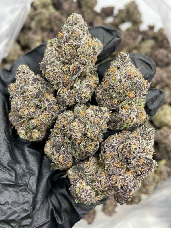 Buy Rainbow Trix Indoor Weed Near Me