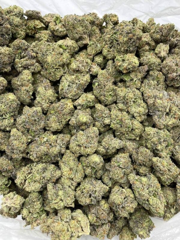 Blueberry Diesel Indoor Weed for Sale Blueberry Diesel Indoor Weed for Sale