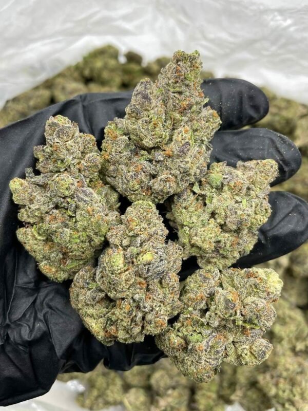 Blueberry Diesel Indoor Weed for Sale