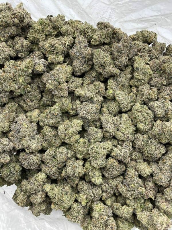 LA Pops Rocks Indoor Weed for Sale