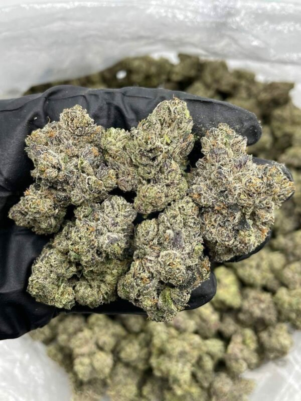 LA Pops Rocks Indoor Weed for Sale