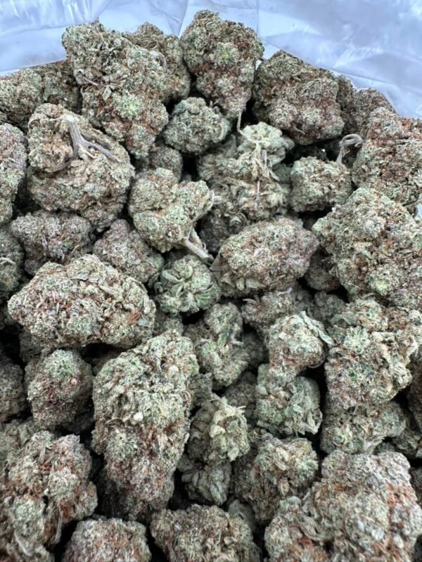 Buy Gorilla Glue Indoor Weed Online Buy Gorilla Glue Indoor Weed Online