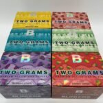 Buy Blinkers Disposable 2g Vape