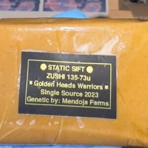 Golden Heads Warriors Hash for Sale